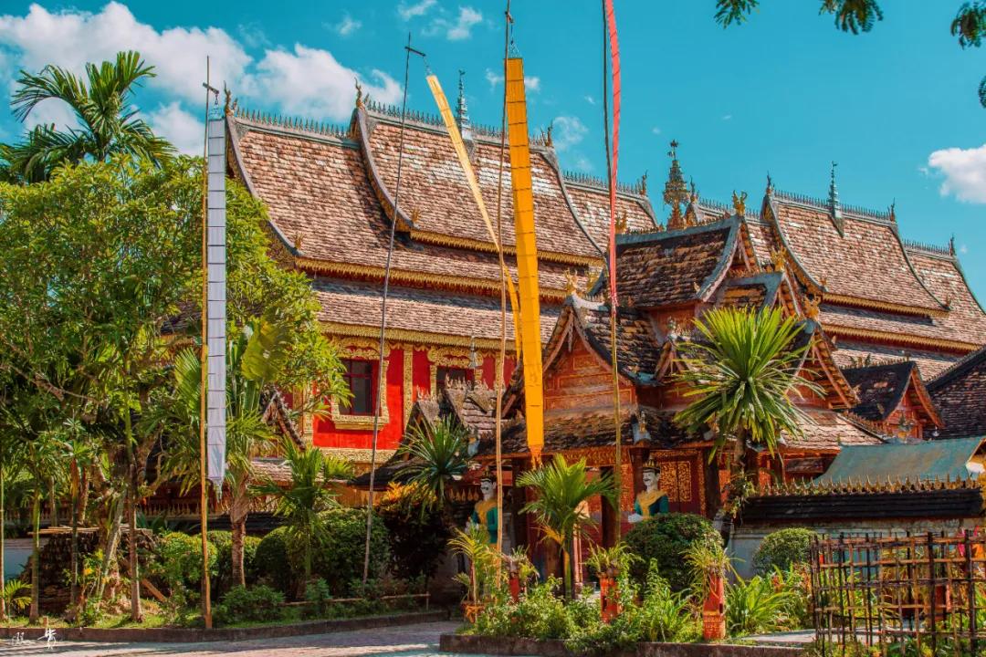 十一月份西双版纳旅游人多吗,十一月份的西双版纳有茶叶吗