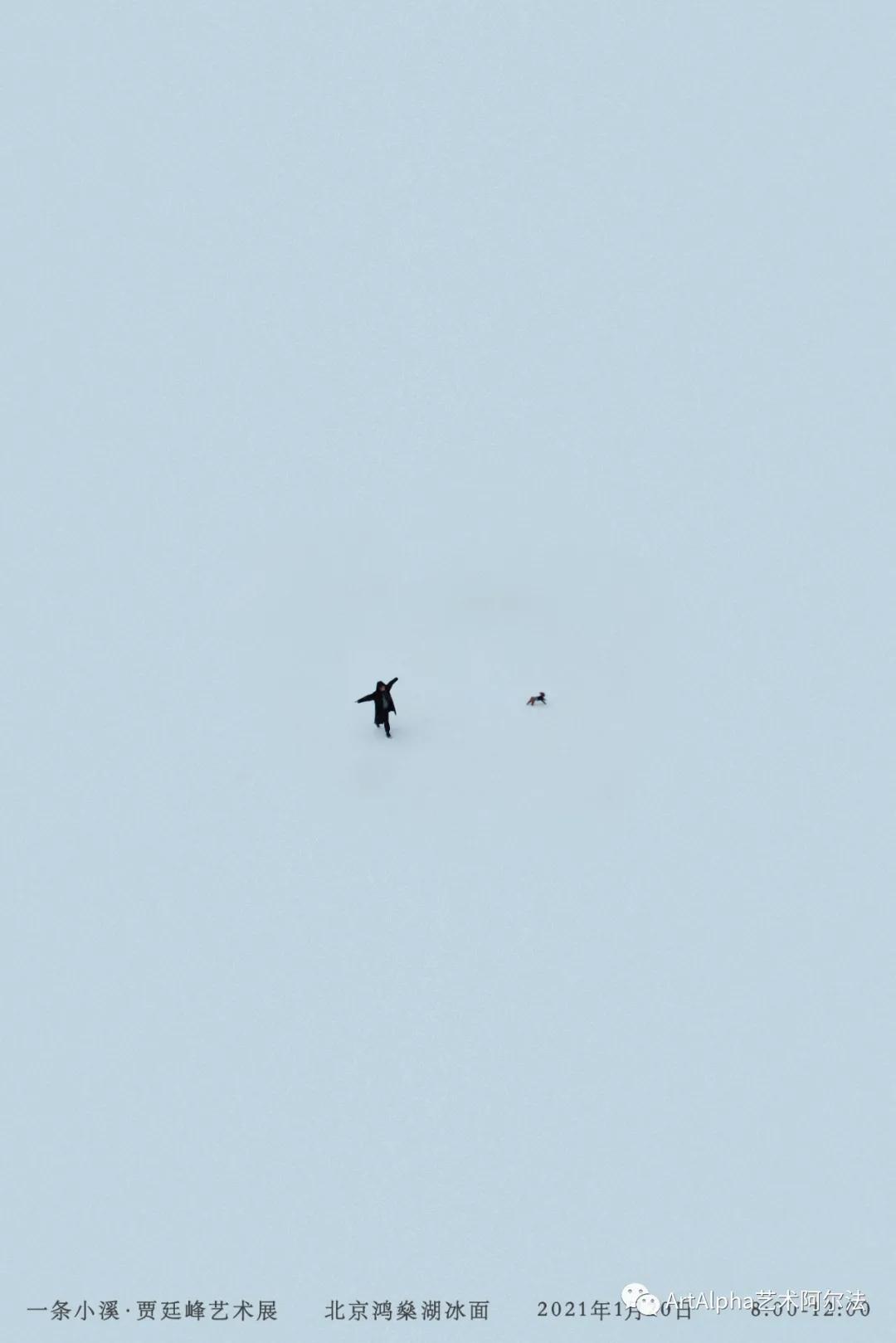 贾廷峰作品,贾廷峰水墨作品