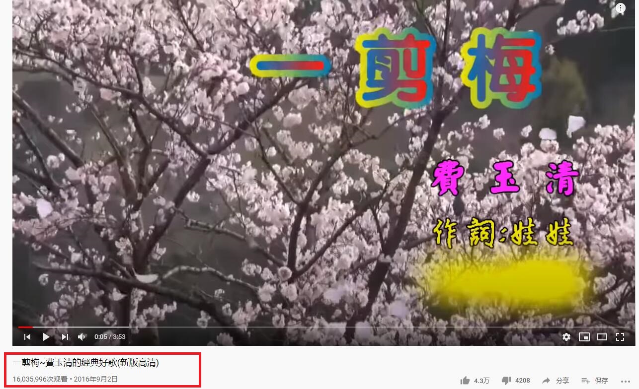 费玉清雪花飘飘北风萧萧完整版,费玉清雪花飘飘北风萧萧的含义