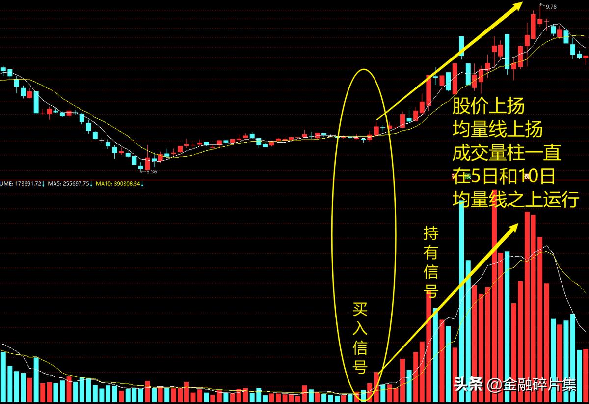 成交量深度分析,成交量分析方法视频