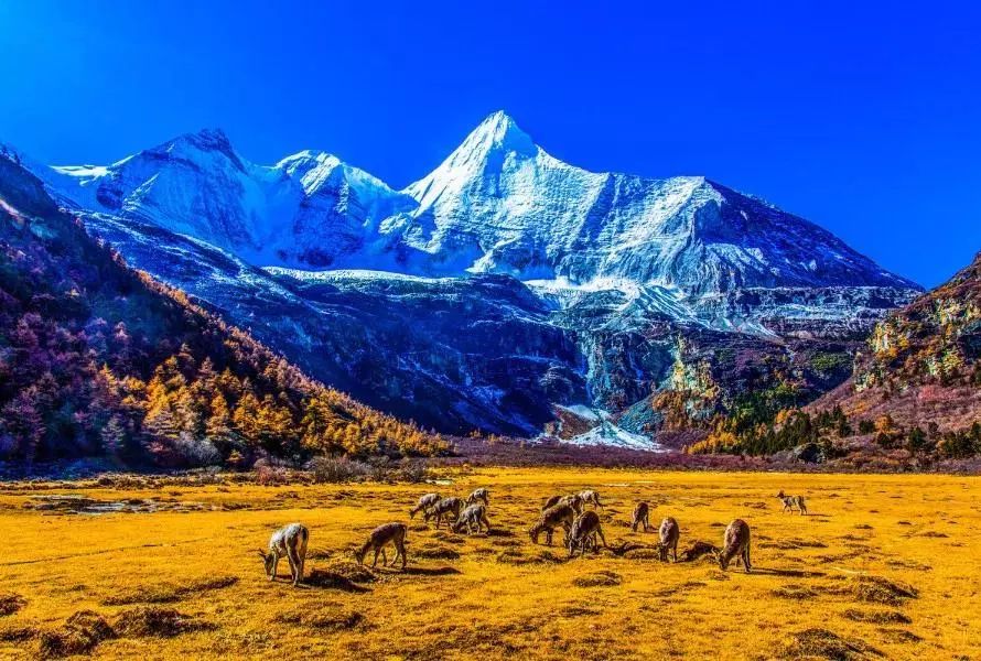 稻城亚丁白云,稻城亚丁风景没有想象中的那么美