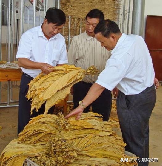 电网技术岗位级别工资表,电网薪资待遇算法