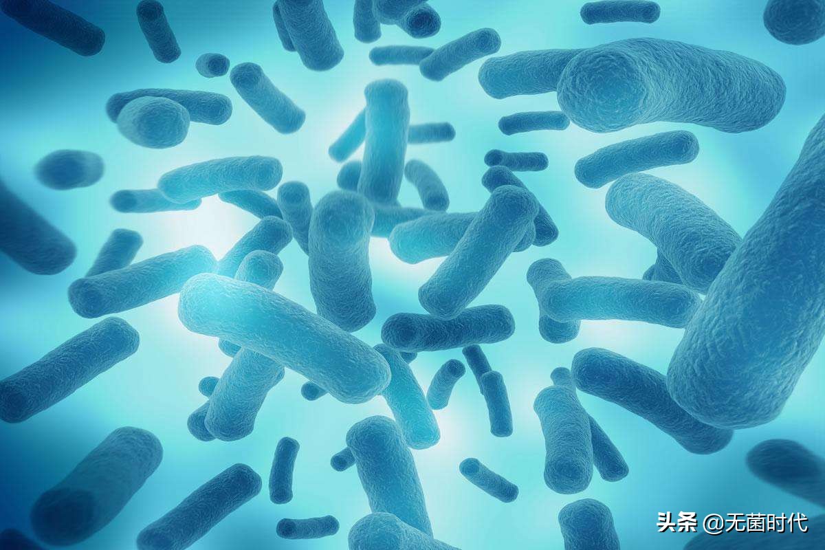 真菌与细菌细胞病毒区别,细菌病毒真菌微生物哪个厉害