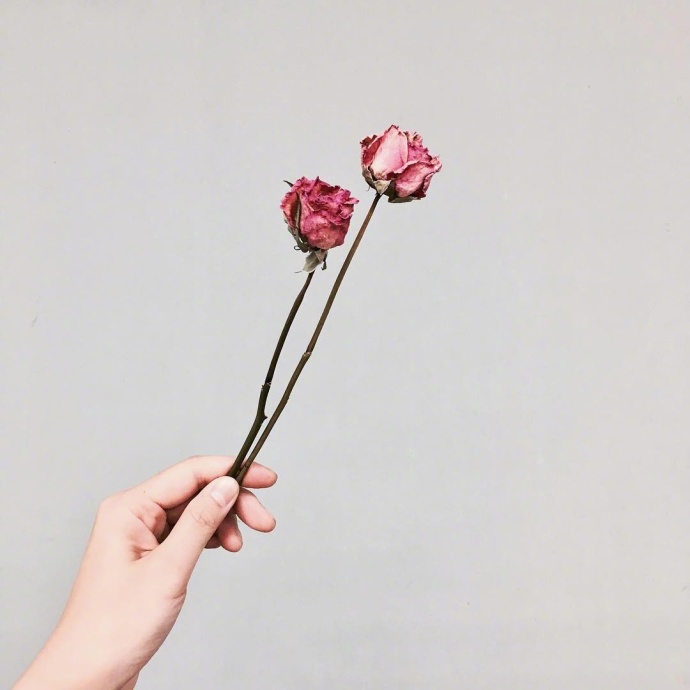 心灵鸡汤短句一句话经典语录,心灵鸡汤经典语录干净短句