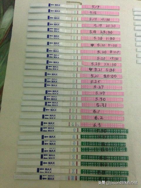 怀孕最佳时间是排卵后,如何准确推算排卵期有助于怀孕