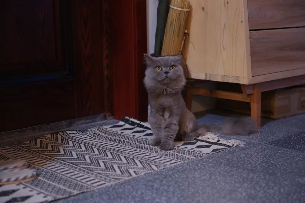 用水泥砌橱柜,用粘土做迷你橱柜