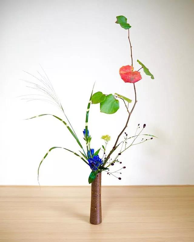 一花一世界一叶一菩提本来无一物,一花一世界一叶一菩提一场梦