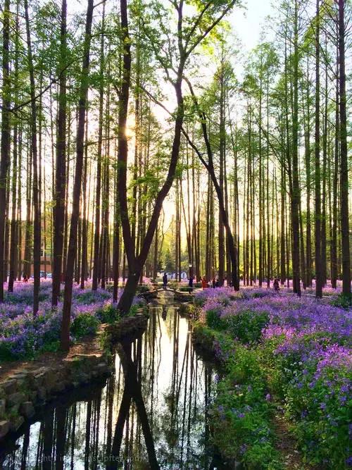 亚洲宜居城市排名2019,中国唯一一个国际评选的宜居城市