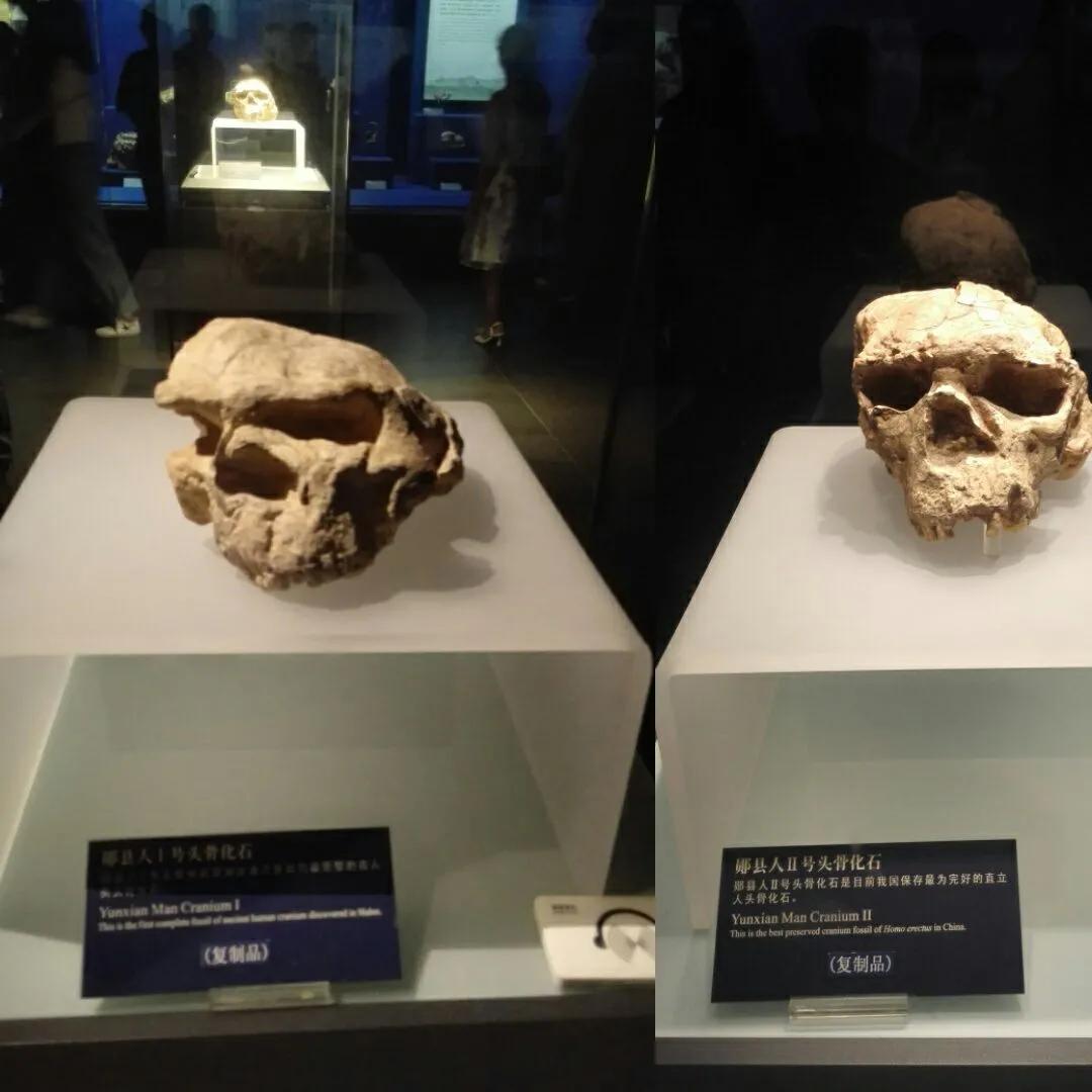 十堰郧阳区属于十堰的什么地方,湖北省十堰市郧阳区郧城市花园