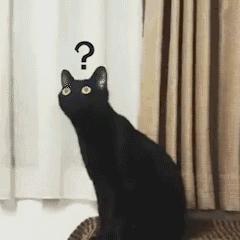 猫屎咖啡背后有多残忍,猫屎咖啡到底有多可怕