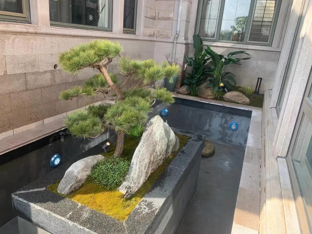 3-5吨锦鲤池建造,锦鲤池生态鱼池建造图