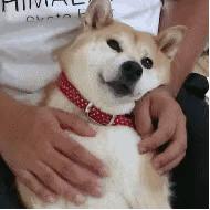 免费在线设计出图,在线设计作图网站推荐