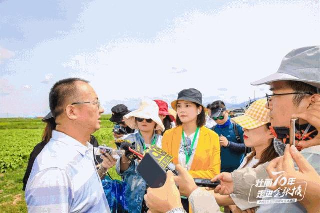 甘肃宝藏最多的地方,甘肃这座宝藏小城