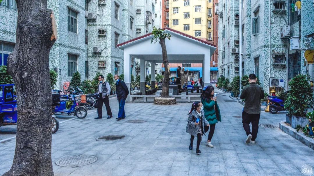 下沙区变成钱塘区了吗,上下沙来历