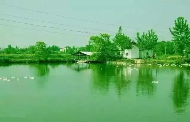 上海哪里有好玩的小山村,江浙沪美丽的小镇