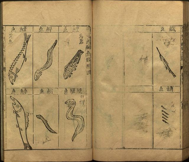 李时珍本草纲目书目录,李时珍本草纲目下卷