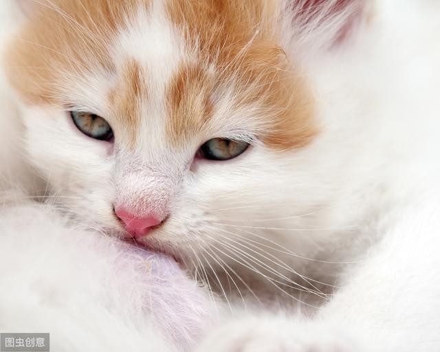 百度文库免费*载下**