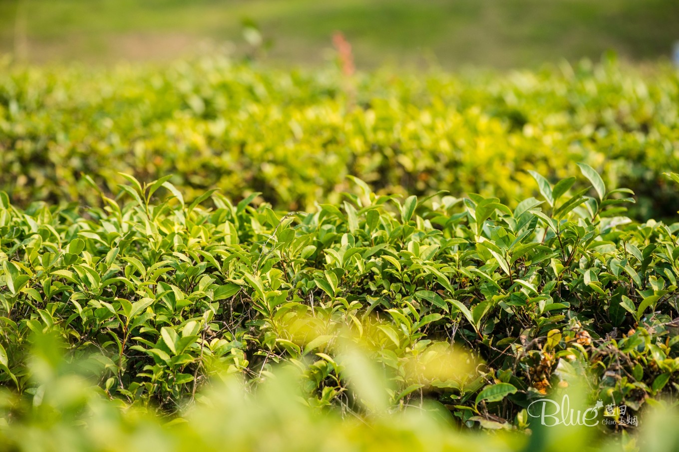 中国最美的大乘佛寺,最有灵性的古佛寺