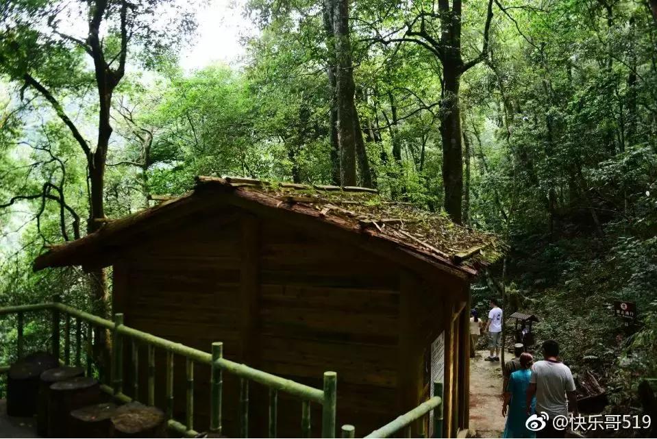 成都坐动车直达这片原始秘境！深幽峡谷、云海奇观、罕见古村…带你逃离夏天！