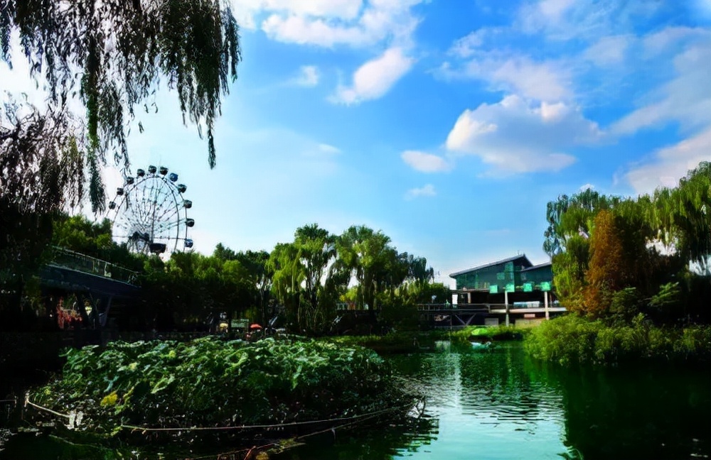 济南亲子遛娃景点排行榜夏季,济南槐荫区遛娃好去处很近的