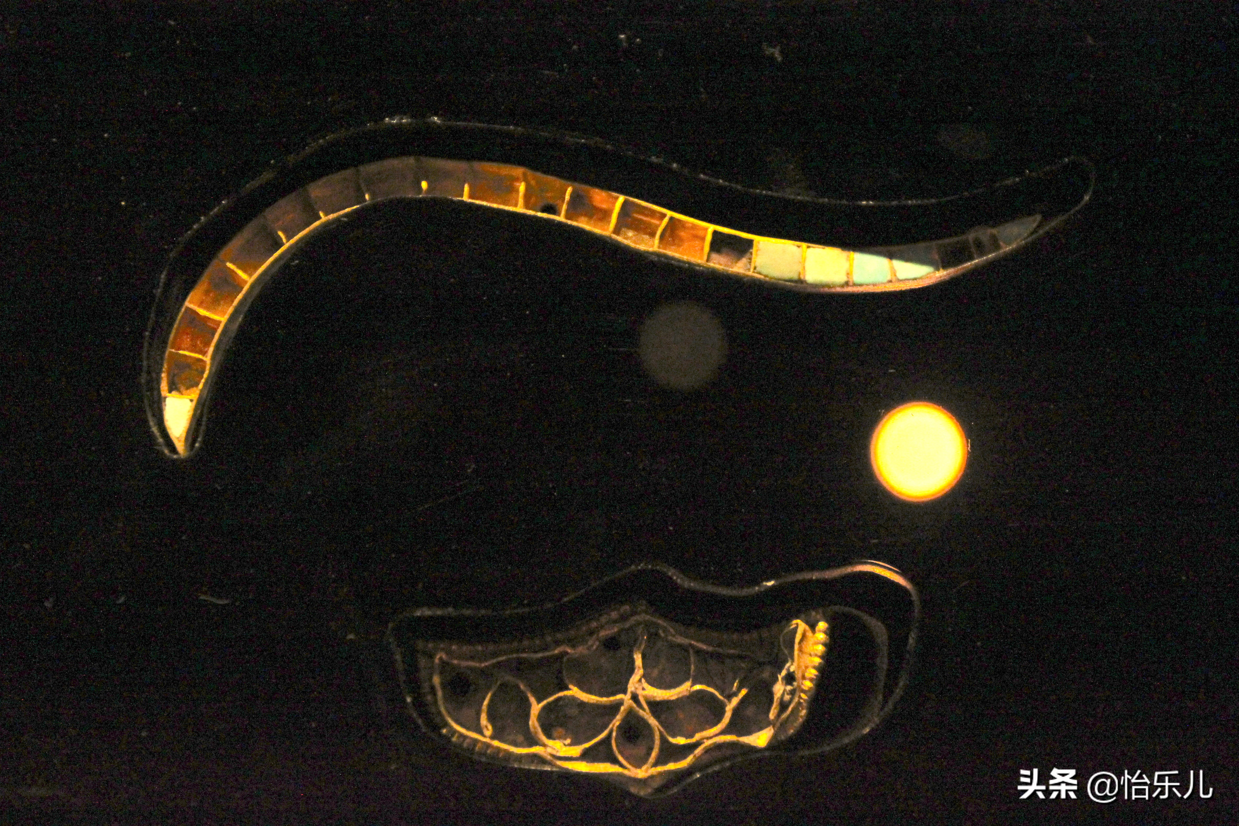 九层妖塔真实发掘,现实九层妖塔出土金象