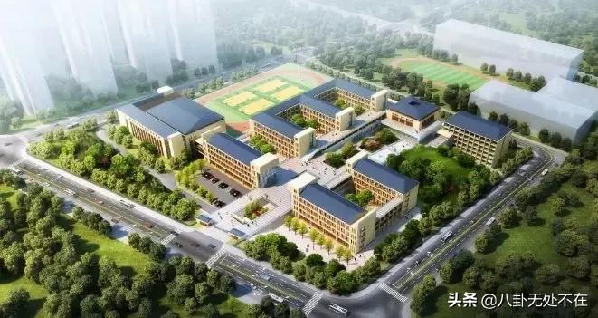 2024年以来青海新成就,2020青海有什么好的项目