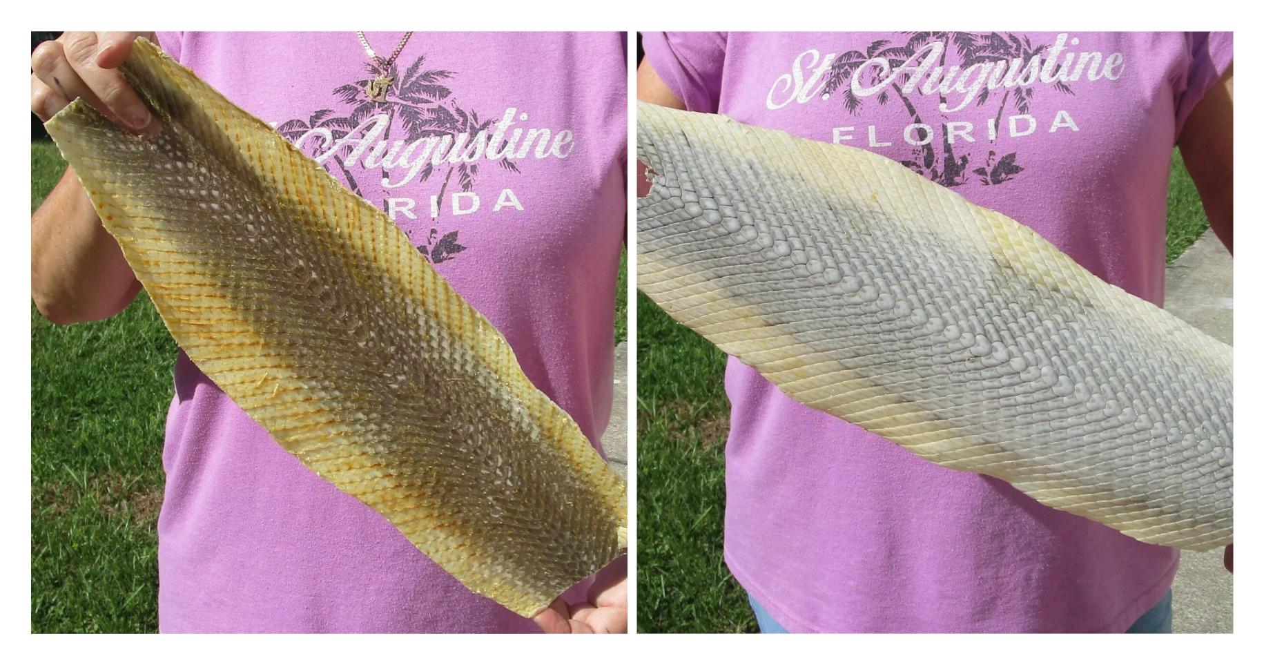 十大珍稀皮料,珍稀皮革