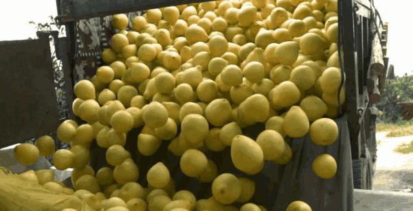 “大爷，你的肠子怎么老往外掉？”