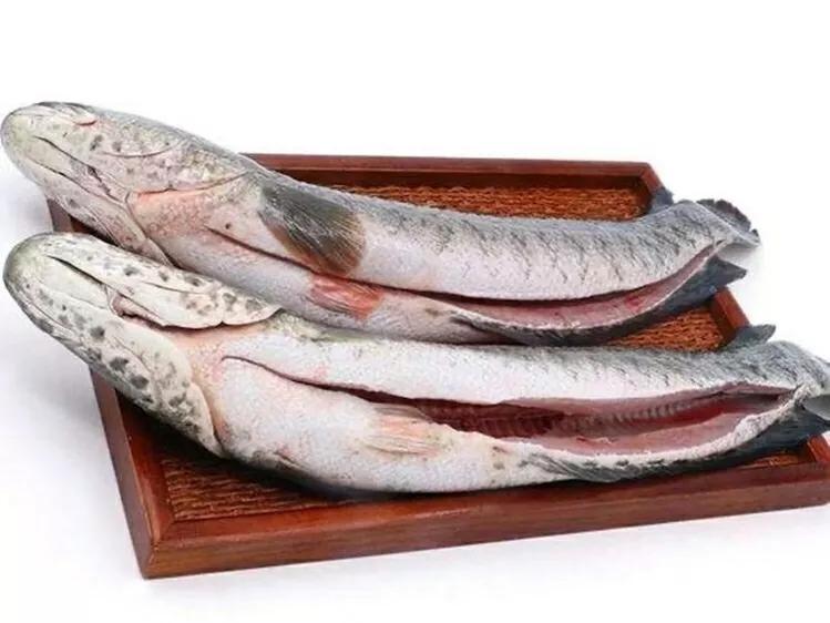 孕妇禁忌四种鱼,哪种鱼孕妇不建议吃的