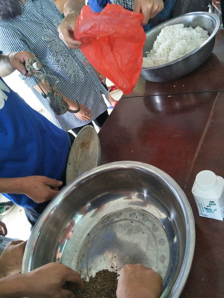 种地用的自制酵素,酵素种地效果怎么样