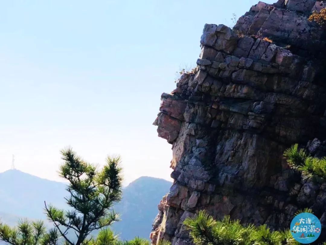 大连森林花海,大连花海旅游攻略