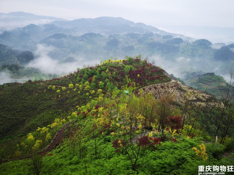 巴南三天两夜游玩攻略,下次去重庆哪里好玩