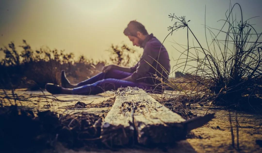 北大女生自杀事件：这场极致的冥王星操纵，只钩住了2件事