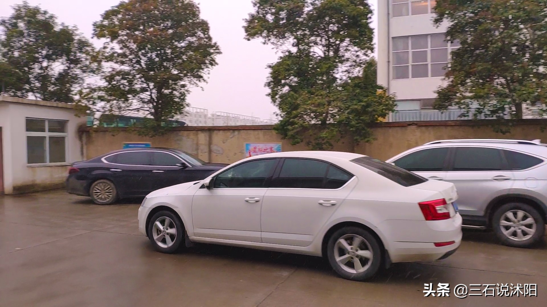 原来沭阳的小学生们开始流行这样过周末了