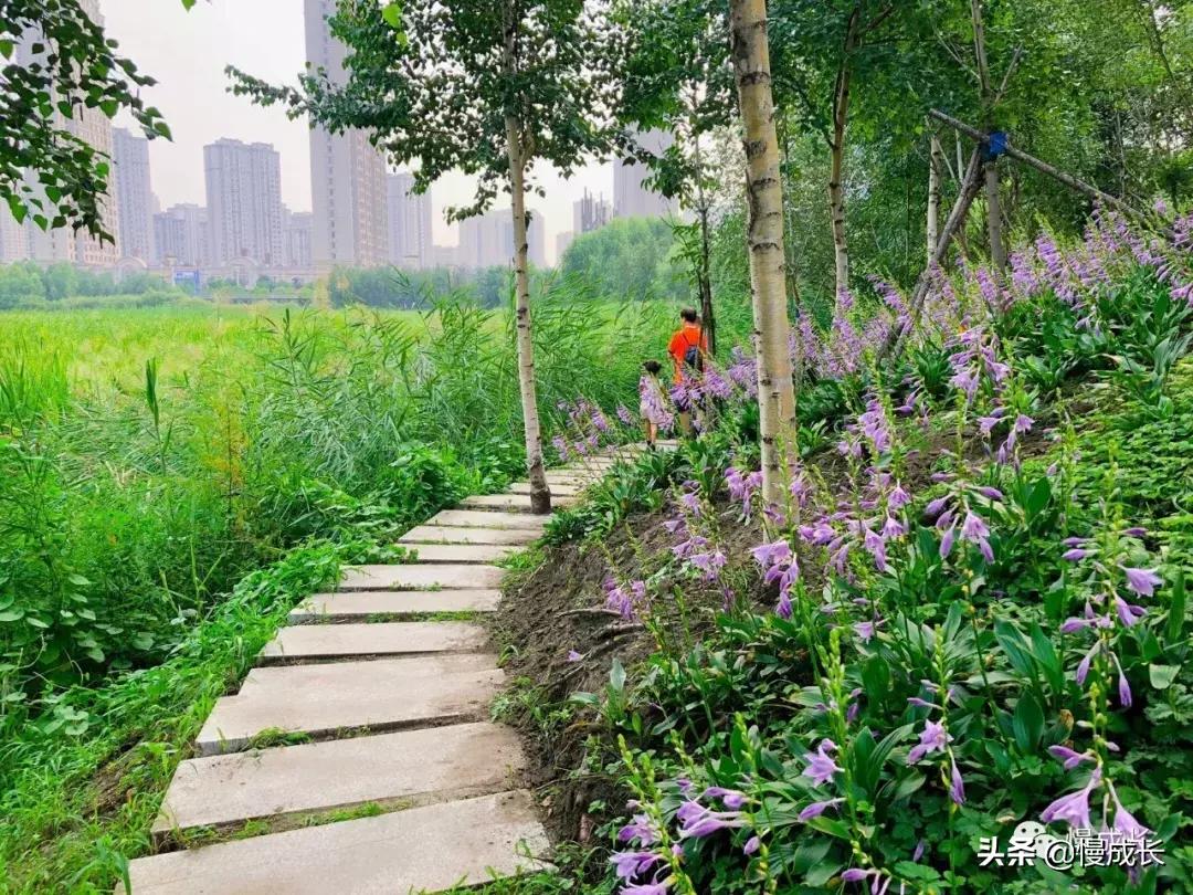 哈尔滨去威海亲子游,哈尔滨旅游攻略亲子游四天三夜