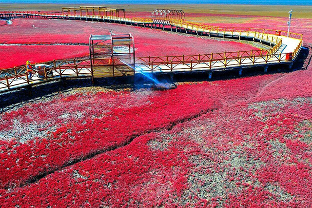 辽宁冬季一天旅游自驾游景点推荐,辽宁盘锦旅游攻略必玩的景点