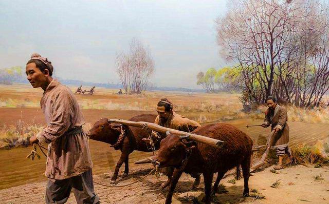 唐宋时期出现钱荒原因,唐代钱荒的原因