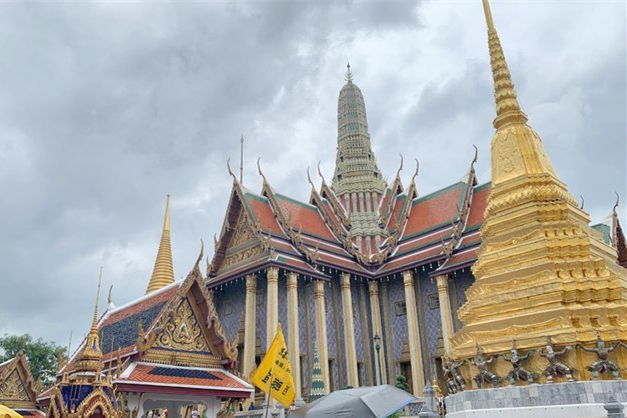 泰国国宝和大象,泰国的国宝是什么