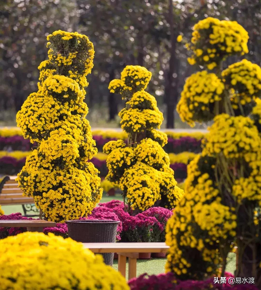 岁月安好，时光静好！愿在易县，与你共赴终老！
