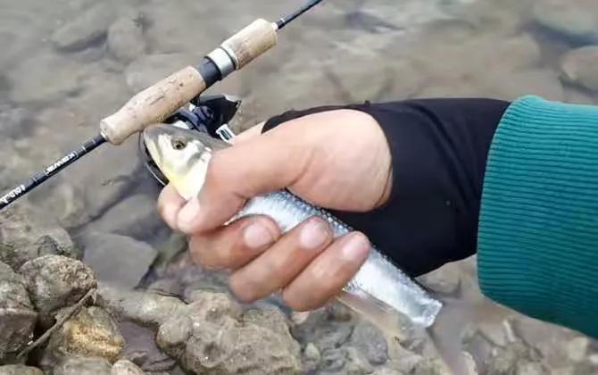 路亚初学者用什么钓具比较好,初学者路亚用什么钓具好