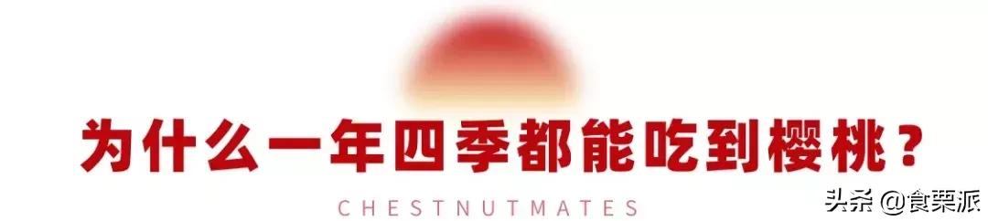 车厘子樱桃是一种东西吗,车厘子和樱桃营养价值有啥区别