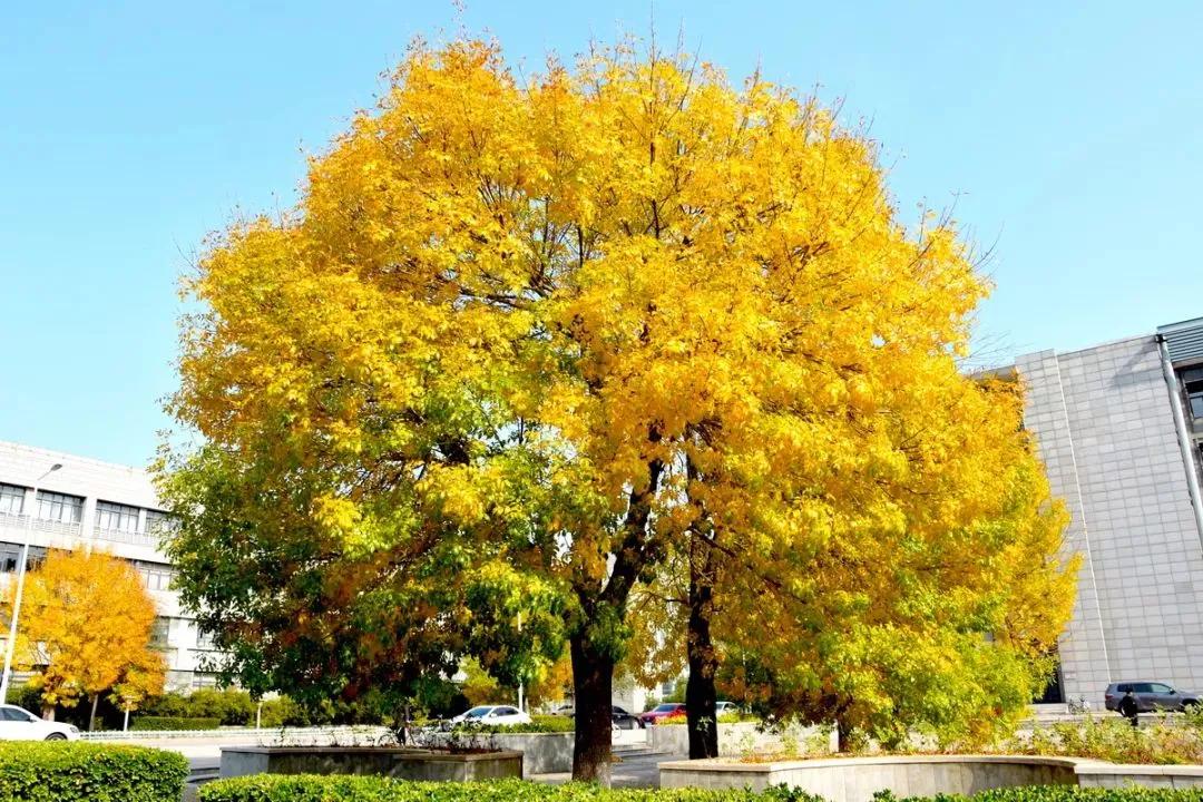 天津市普通高等院校（三）天津师范大学