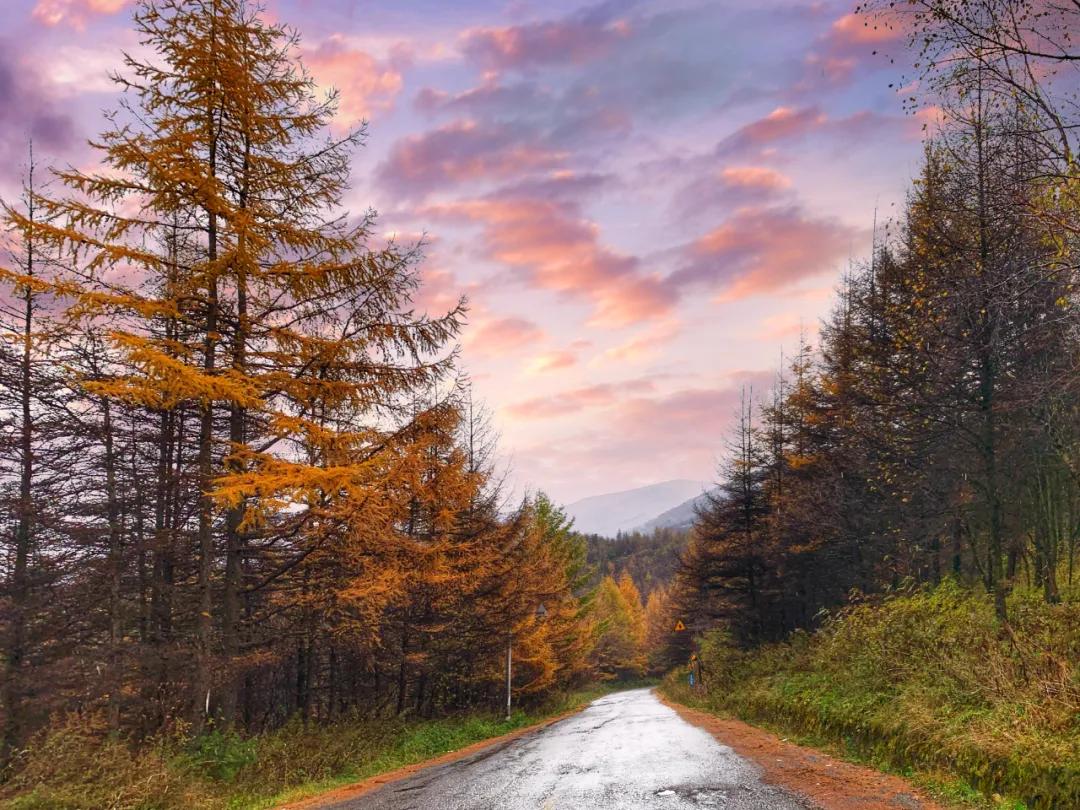 9月国内最美的10个最佳旅行地推荐,金秋十月寻找最美旅行地