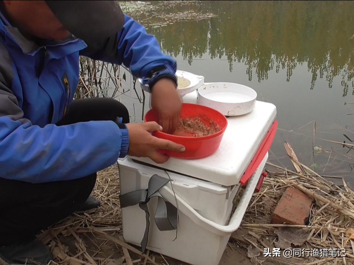 拉饵怎么拉出饱满饵球,拉饵怎么开出最好的状态