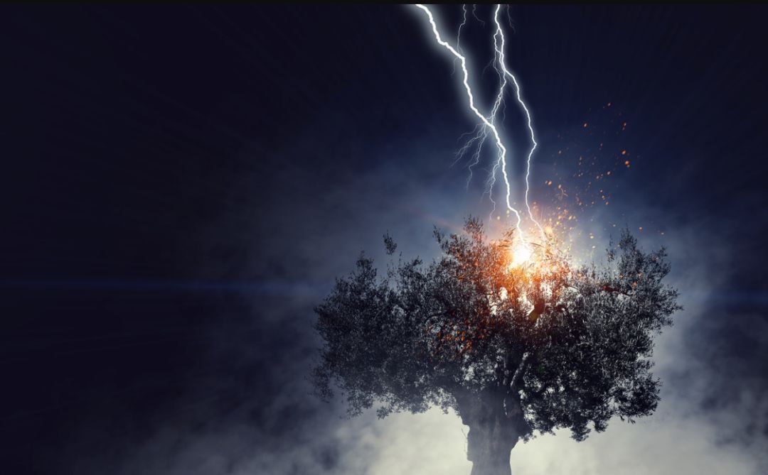 房住不炒十大变化,坚持房住不炒将是长久政策