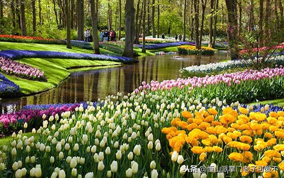 不能错过的狂欢节,不能错过2022年的春天万物复苏