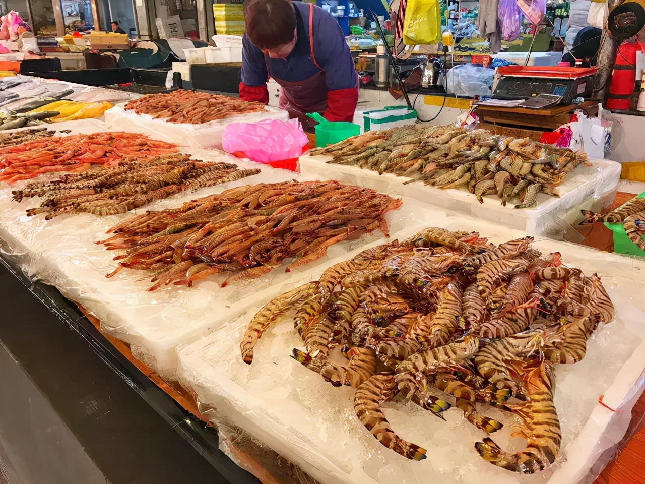 一年一度的开渔季,开渔季味蕾狂欢之旅