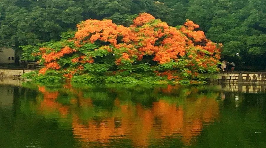 这10个冷门专业正开始变热门,10大冷门专业排行榜