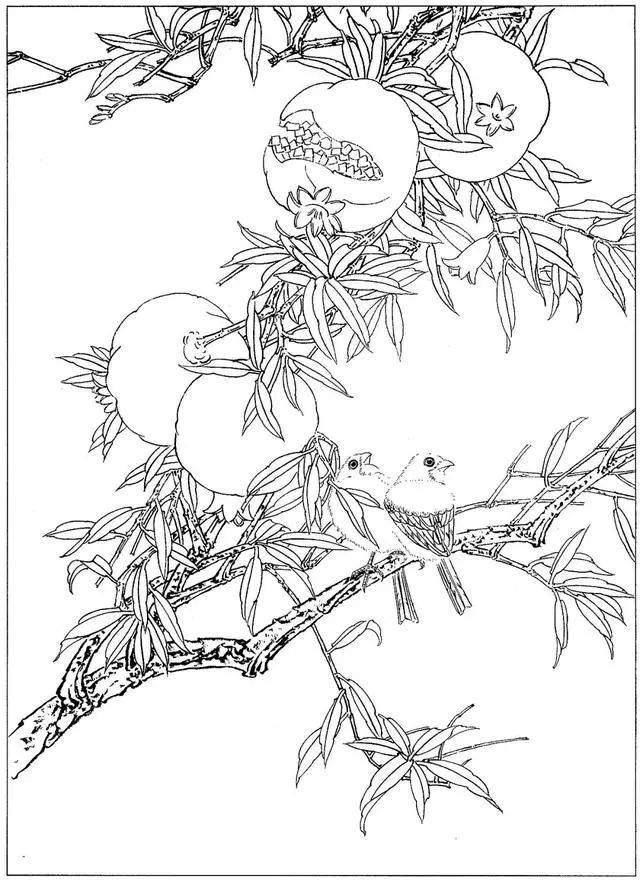 工笔花鸟白描步骤图,牡丹六尺横幅白描工笔花鸟底稿