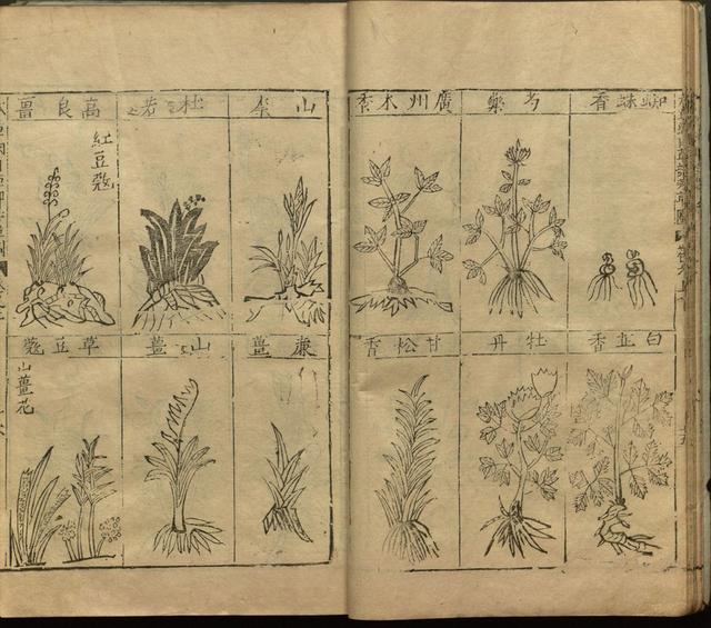 李时珍与本草纲目ppt课件,神农本草经正版李时珍书籍